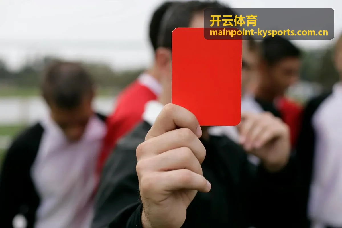 开云体育用户赵先生头像